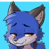 UkyoShadowfox