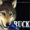 Buck