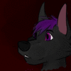 ShadeNox
