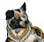 Moonlightpaw