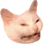 Anyonarex