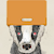 ElusiveBadger
