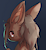 SmolBrownBat