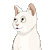 ShiroiNeko