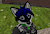 AshJeepWolf