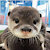 smallottcub