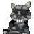 Toonces