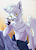 Ziggfluff