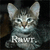 datcatty
