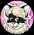 CassytheKitty