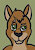 Andyroo