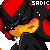 ShadowTheHedgehog