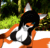CharexFOX