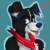 DigitalPup