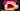 MrSansational