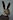 DevilBunny