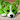 DrMadfox