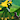 PrinceEcosis