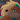 RainSparkleFox