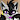 WhiteLucario