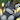 EternalWolfee30