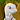 Spe