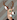 BashfulBuckboy
