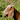 mrdefrait64