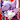 DouglasCat