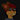 Mappy